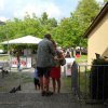 Sommerfest2017 (16)